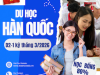 Du học Hàn Quốc D2-1 hệ Cao đẳng có học bổng