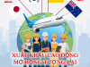 XUẤT KHẨU LAO ĐỘNG QUỐC TẾ