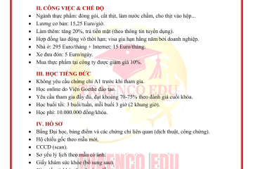 CHƯƠNG TRÌNH VISA 18B ĐỨC TẠI QUẢNG TRỊ 2026: CƠ HỘI LÀM VIỆC VĨNH VIỄN & ĐỊNH CƯ CHÂU ÂU