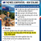 THỢ MỘC NEWZELAND